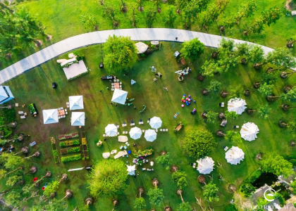 Eco Retreat: Therapeutic forest offering a green and peaceful life.