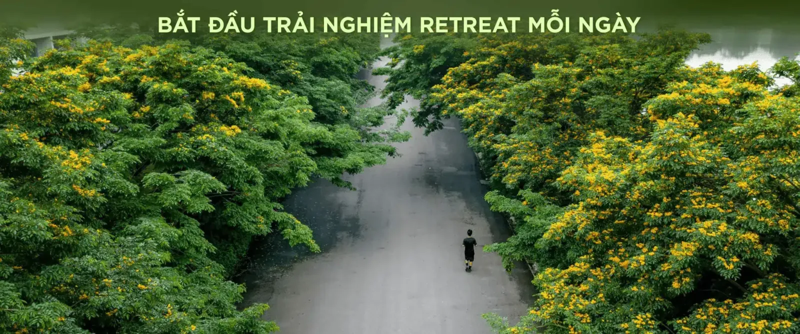 Eco Retreat: Nơi sức khỏe, tinh thần & không gian hòa làm một